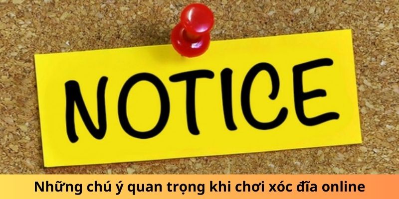 Những chú ý quan trọng khi chơi Xóc Đĩa Online